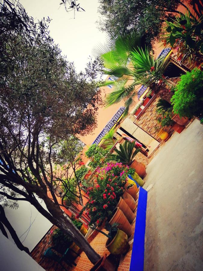 Dar Ezzitouna Apartamento Oualidia Exterior foto