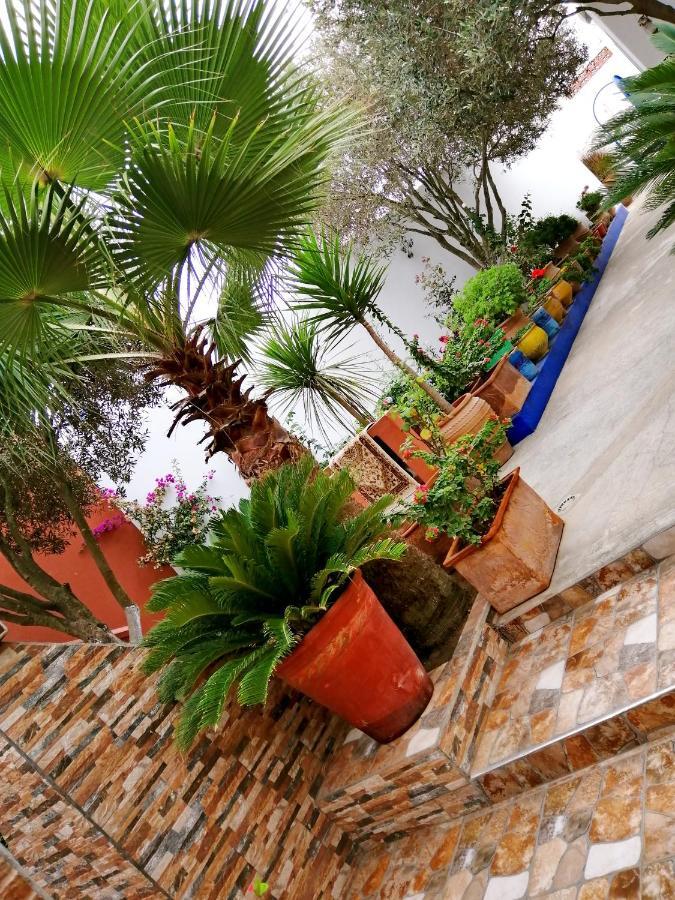 Dar Ezzitouna Apartamento Oualidia Exterior foto